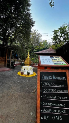 Institute Of Natural Medicine , Yoga & Therapy home